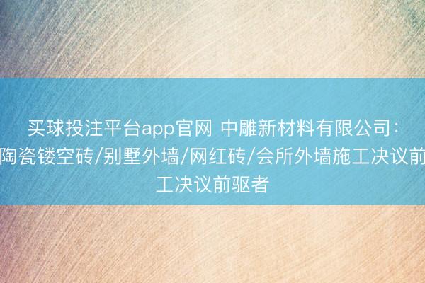 买球投注平台app官网 中雕新材料有限公司：发泡陶瓷镂空砖/别墅外墙/网红砖/会所外墙施工决议前驱者