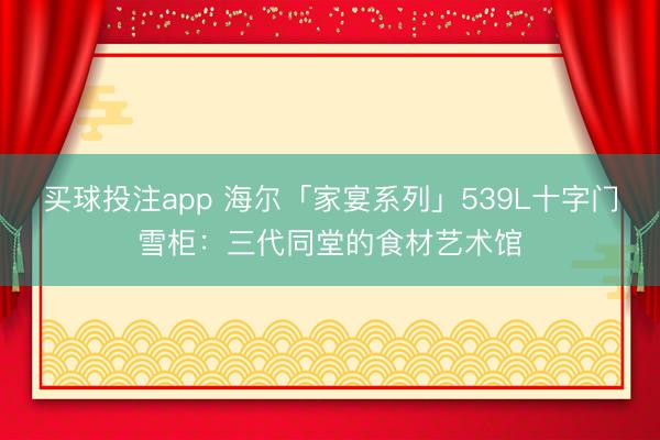 买球投注app 海尔「家宴系列」539L十字门雪柜：三代同堂的食材艺术馆