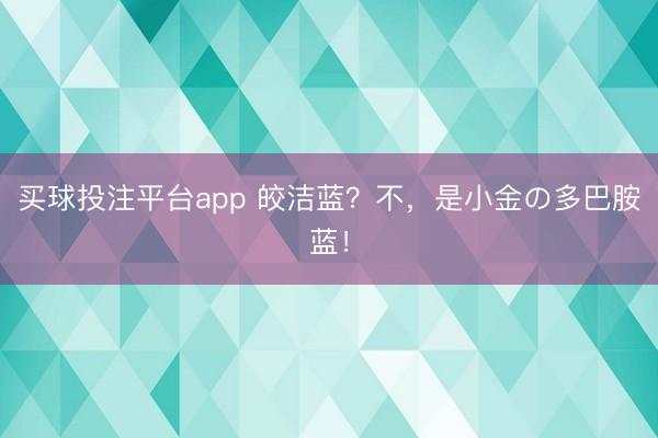 买球投注平台app 皎洁蓝？不，是小金の多巴胺蓝！