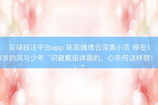 买球投注平台app 陈若嫣傅云深黄小芸 停在18岁的风与少年 “识破戴挺体面的，心奈何这样狠！”
