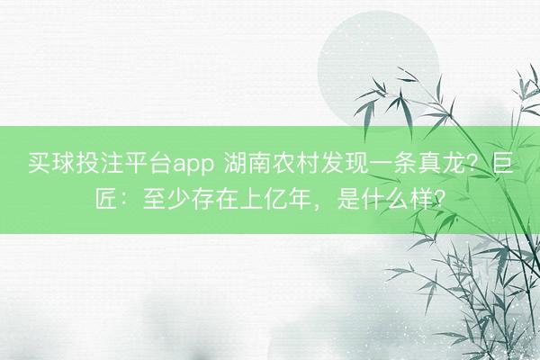 买球投注平台app 湖南农村发现一条真龙？巨匠：至少存在上亿年，是什么样？
