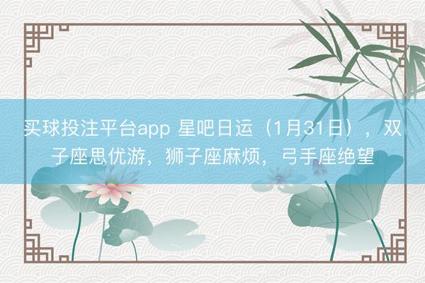 买球投注平台app 星吧日运（1月31日），双子座思优游，狮子座麻烦，弓手座绝望