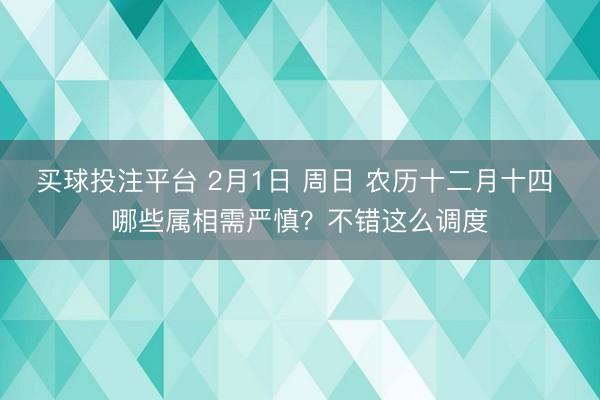 买球投注平台 2月1日 周日 农历十二月十四 哪些属相需严慎？不错这么调度