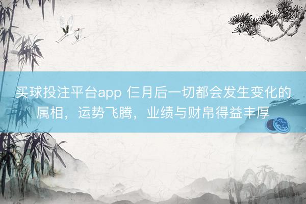 买球投注平台app 仨月后一切都会发生变化的属相，运势飞腾，业绩与财帛得益丰厚