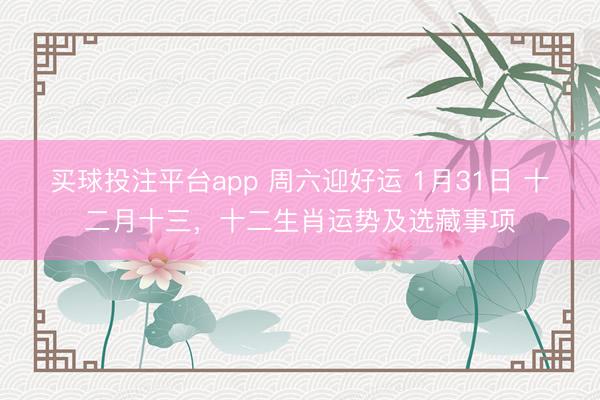 买球投注平台app 周六迎好运 1月31日 十二月十三，十二生肖运势及选藏事项