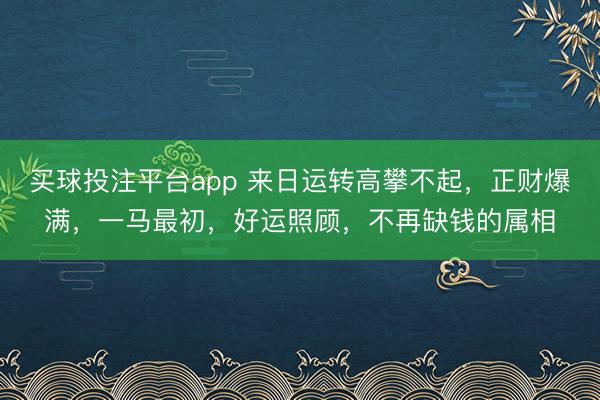 买球投注平台app 来日运转高攀不起，正财爆满，一马最初，好运照顾，不再缺钱的属相