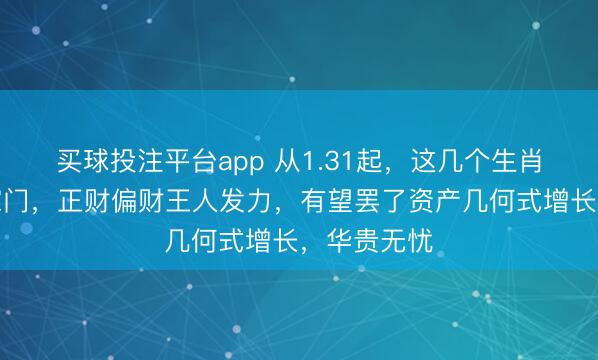 买球投注平台app 从1.31起，这几个生肖财神来临家门，正财偏财王人发力，有望罢了资产几何式增长，华贵无忧