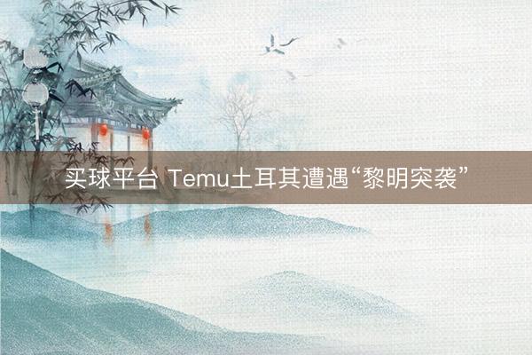 买球平台 Temu土耳其遭遇“黎明突袭”