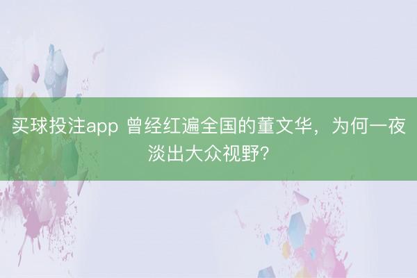买球投注app 曾经红遍全国的董文华，为何一夜淡出大众视野？