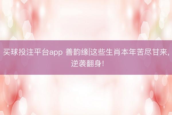 买球投注平台app 善韵缘|这些生肖本年苦尽甘来, 逆袭翻身!