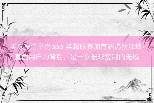 买球投注平台app 英超联赛加首站选新加坡：直面用户的背后，是一次寰球复制的无餍