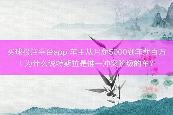 买球投注平台app 车主从月薪5000到年薪百万! 为什么说特斯拉是惟一冲突阶级的车?