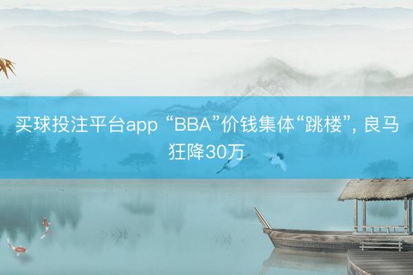 买球投注平台app “BBA”价钱集体“跳楼”， 良马狂降30万
