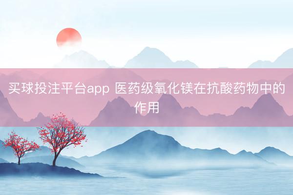 买球投注平台app 医药级氧化镁在抗酸药物中的作用
