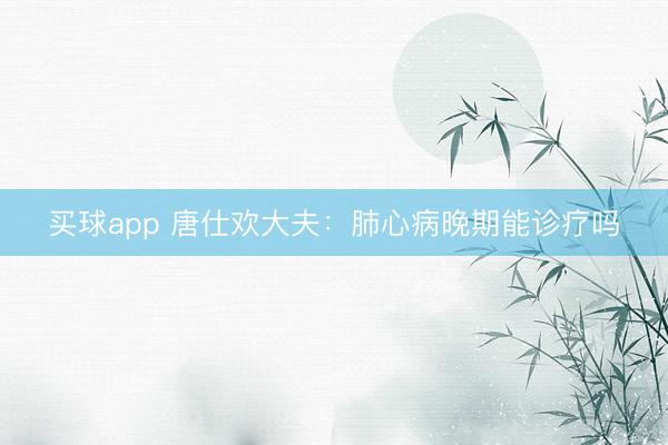 买球app 唐仕欢大夫：肺心病晚期能诊疗吗