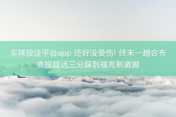 买球投注平台app 还好没受伤! 终末一趟合布克投超远三分踩到福克斯崴脚