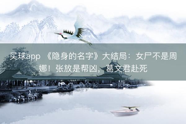 买球app 《隐身的名字》大结局:女尸不是周娜!张放是帮凶,葛文君赴死