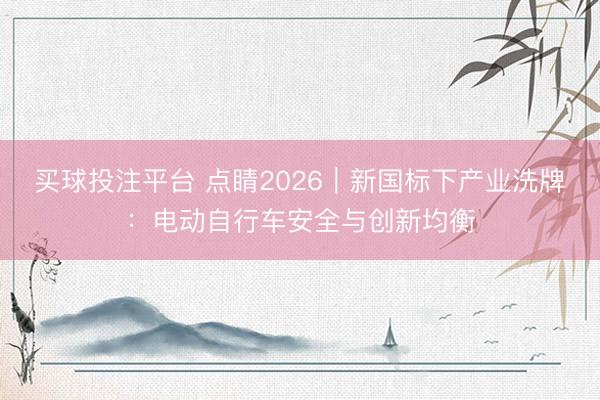 买球投注平台 点睛2026｜新国标下产业洗牌：电动自行车安全与创新均衡