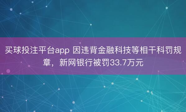 买球投注平台app 因违背金融科技等相干科罚规章，新网银行被罚33.7万元