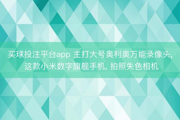 买球投注平台app 主打大号奥利奥万能录像头， 这款小米数字旗舰手机， 拍照失色相机