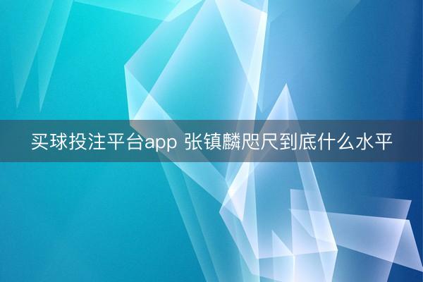 买球投注平台app 张镇麟咫尺到底什么水平