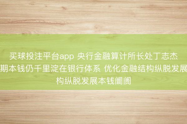 买球投注平台app 央行金融算计所长处丁志杰:部分长期本钱仍千里淀在银行体系 优化金融结构纵脱发展本钱阛阓