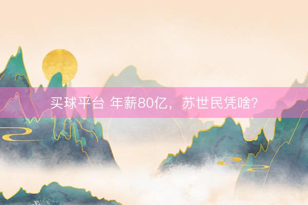 买球平台 年薪80亿，苏世民凭啥？