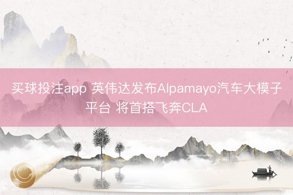 买球投注app 英伟达发布Alpamayo汽车大模子平台 将首搭飞奔CLA