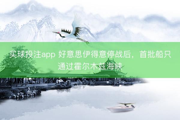 买球投注app 好意思伊得意停战后，首批船只通过霍尔木兹海峡
