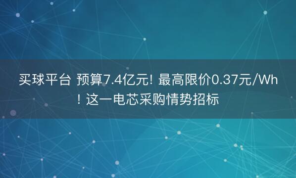 买球平台 预算7.4亿元! 最高限价0.37元/Wh! 这一电芯采购情势招标