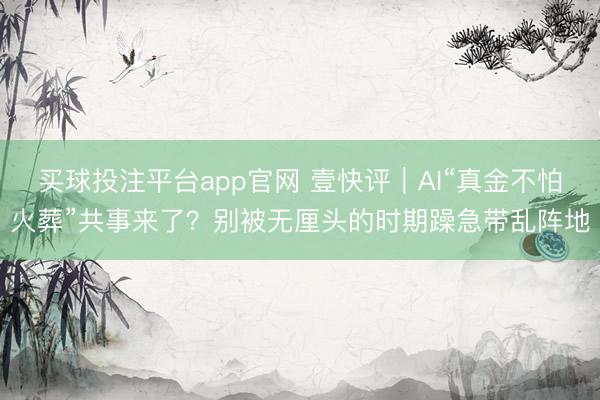 买球投注平台app官网 壹快评|AI“真金不怕火葬”共事来了?别被无厘头的时期躁急带乱阵地