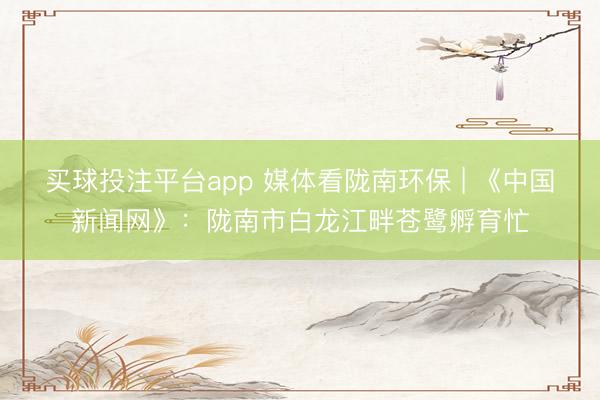 买球投注平台app 媒体看陇南环保 | 《中国新闻网》：陇南市白龙江畔苍鹭孵育忙