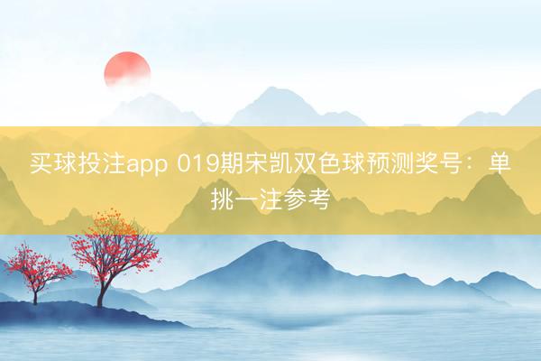 买球投注app 019期宋凯双色球预测奖号：单挑一注参考