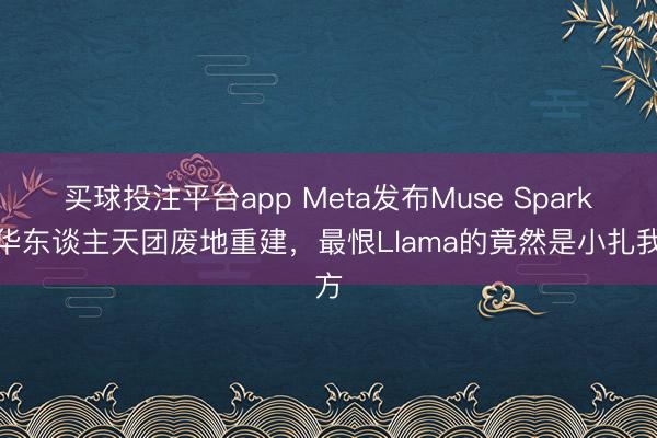 买球投注平台app Meta发布Muse Spark:华东谈主天团废地重建,最恨Llama的竟然是小扎我方