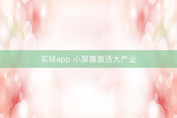 买球app 小屏幕激活大产业