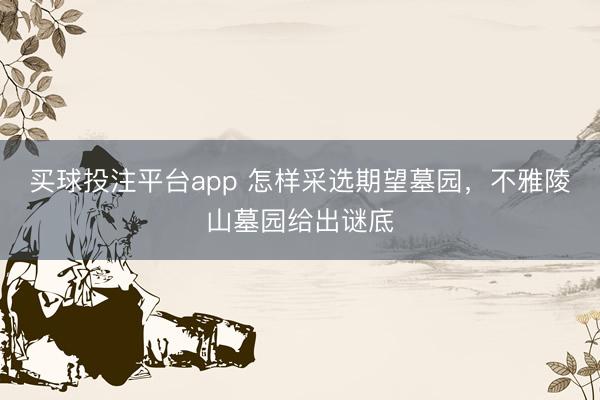 买球投注平台app 怎样采选期望墓园，不雅陵山墓园给出谜底
