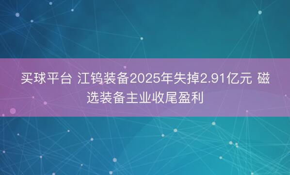 买球平台 江钨装备2025年失掉2.91亿元 磁选装备主业收尾盈利