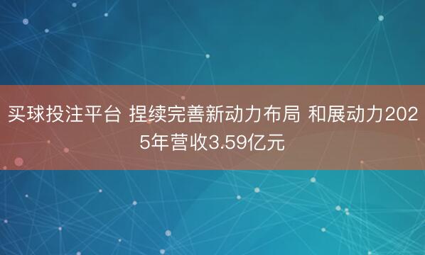 买球投注平台 捏续完善新动力布局 和展动力2025年营收3.59亿元