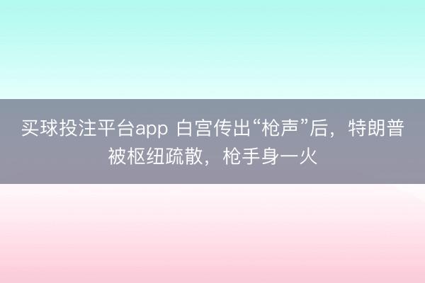 买球投注平台app 白宫传出“枪声”后，特朗普被枢纽疏散，枪手身一火
