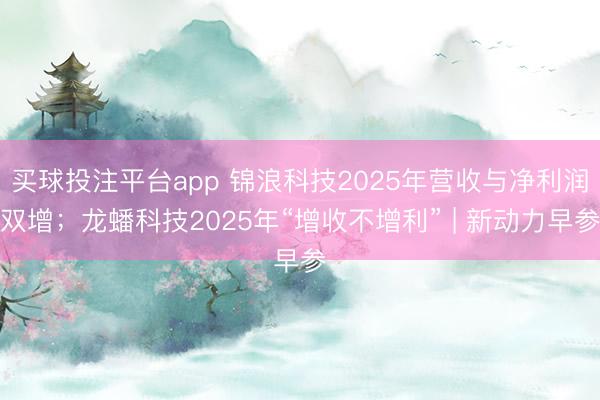 买球投注平台app 锦浪科技2025年营收与净利润双增；龙蟠科技2025年“增收不增利” | 新动力早参