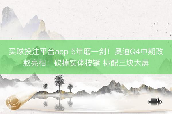 买球投注平台app 5年磨一剑！奥迪Q4中期改款亮相：砍掉实体按键 标配三块大屏
