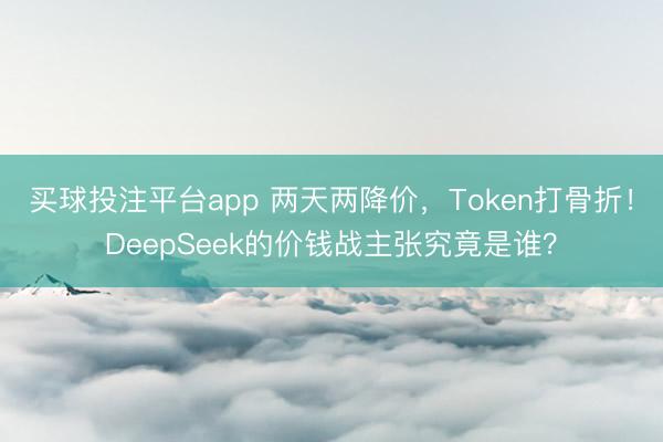 买球投注平台app 两天两降价，Token打骨折！DeepSeek的价钱战主张究竟是谁？