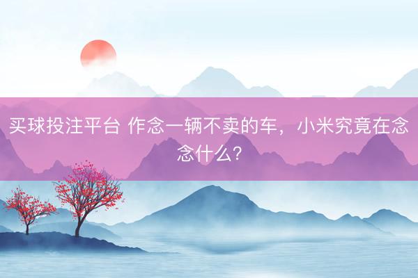 买球投注平台 作念一辆不卖的车，小米究竟在念念什么？