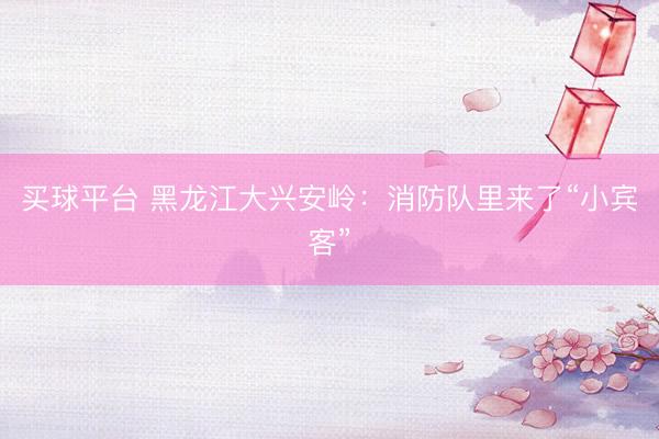 买球平台 黑龙江大兴安岭：消防队里来了“小宾客”
