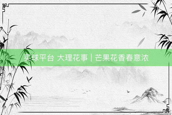 买球平台 大理花事 | 芒果花香春意浓