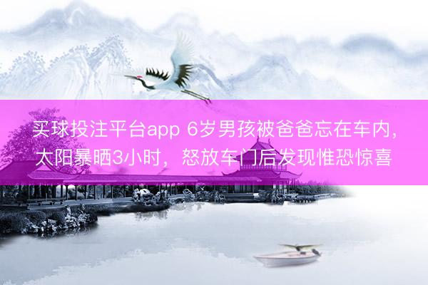 买球投注平台app 6岁男孩被爸爸忘在车内，太阳暴晒3小时，怒放车门后发现惟恐惊喜