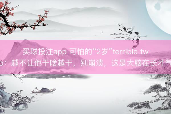 买球投注app 可怕的“2岁”terrible two：越不让他干啥越干，别崩溃，这是大脑在长才气