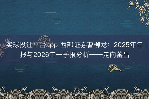 买球投注平台app 西部证券曹柳龙：2025年年报与2026年一季报分析——走向蕃昌