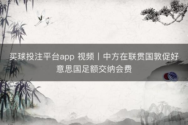 买球投注平台app 视频丨中方在联贯国敦促好意思国足额交纳会费
