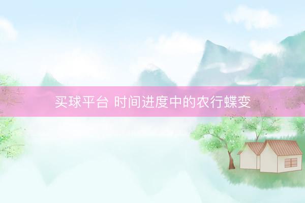 买球平台 时间进度中的农行蝶变